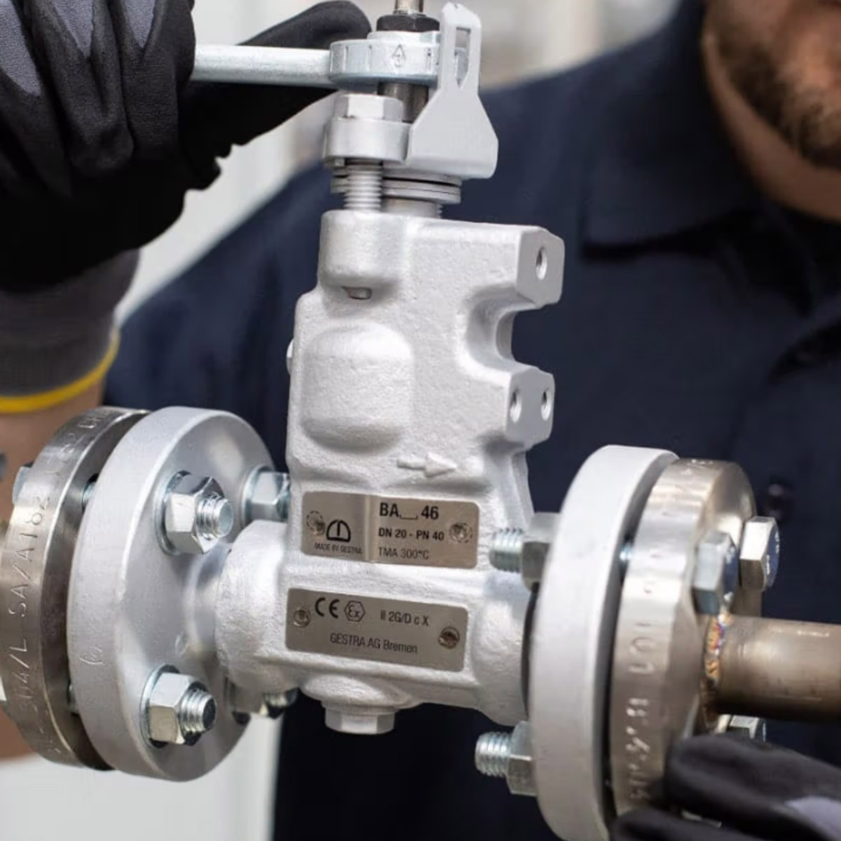GESTRA Continuous Blowdown Valves - Tomlinson Energy Service